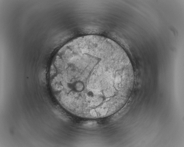 X0000111150162200907281140