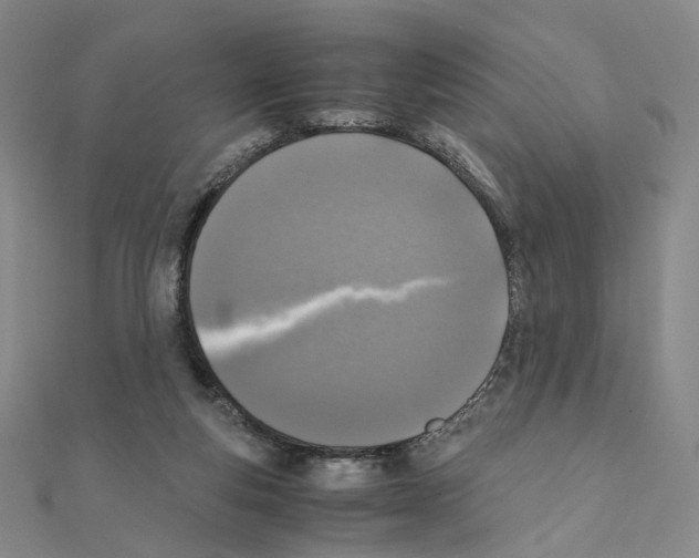 X0000111150163200907281140