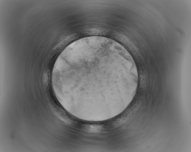 X0000111150165200907281140