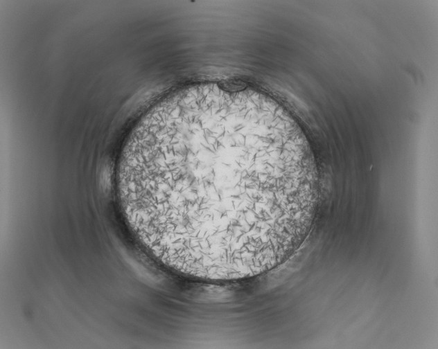 X0000111150166200907281140