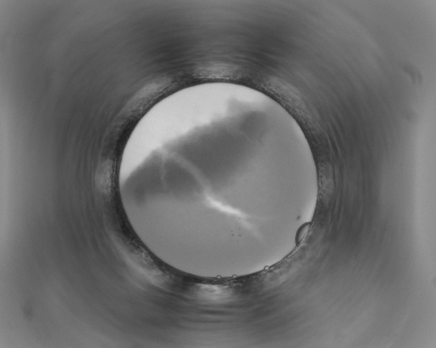 X0000111150167200907281140