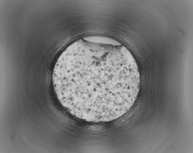 X0000111150168200907281140