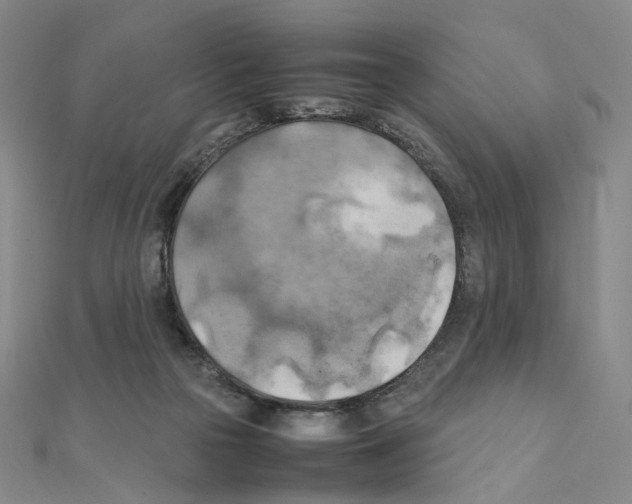 X0000111150169200907281140