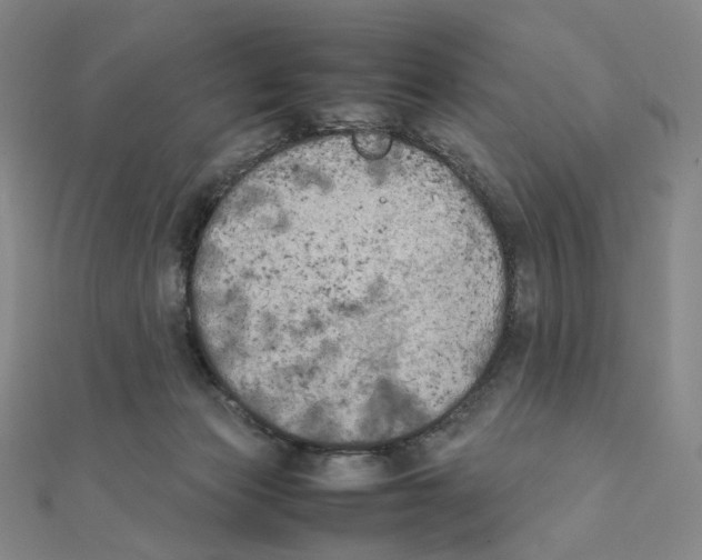 X0000111150173200907281140