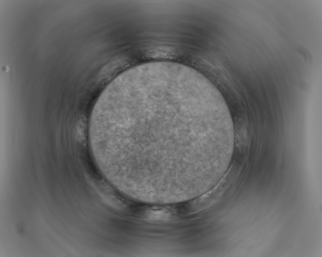 X0000111150175200907281140