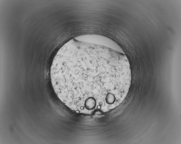 X0000111150176200907281140