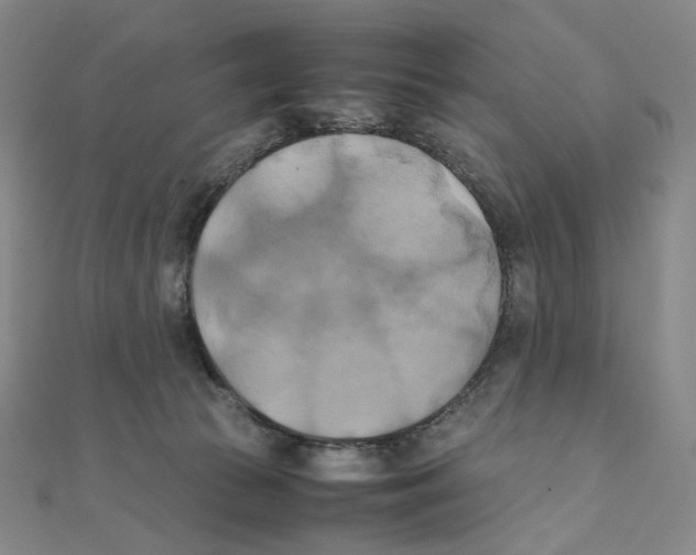 X0000111150177200907281140