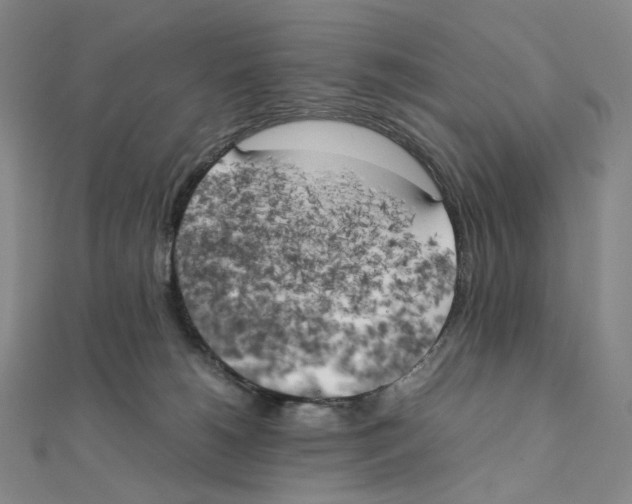 X0000111150180200907281140