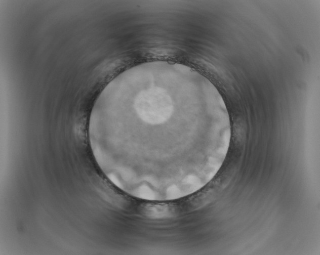 X0000111150181200907281140