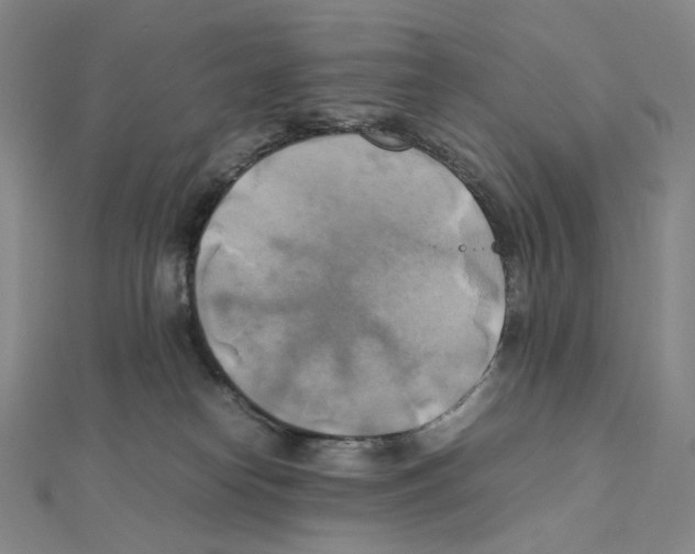 X0000111150182200907281140