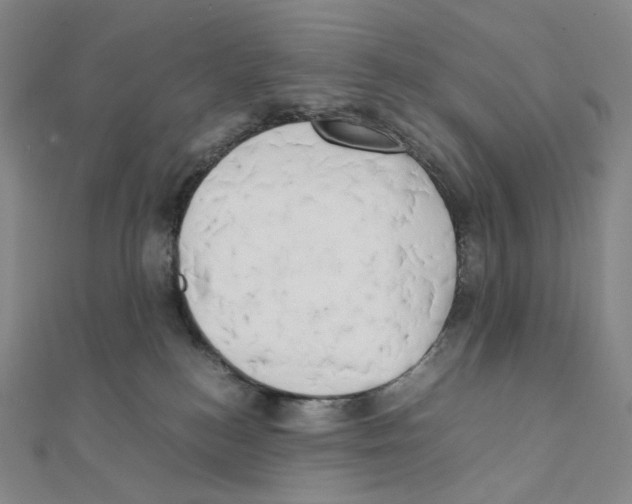 X0000111150184200907281140