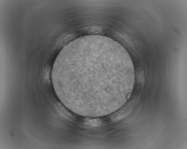 X0000111150185200907281140