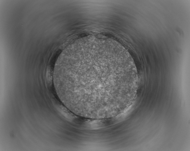 X0000111150186200907281140