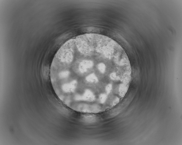 X0000111150189200907281140