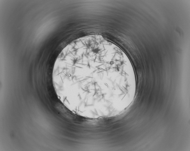 X0000111150190200907281140