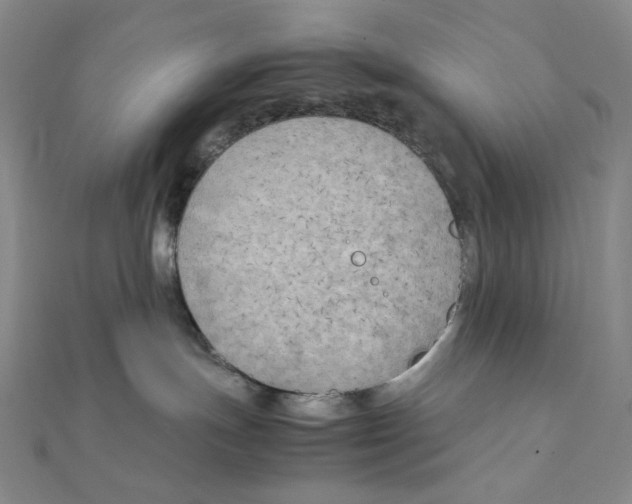 X0000111150191200907281140