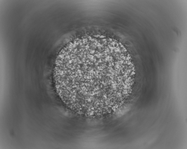 X0000111150192200907281140