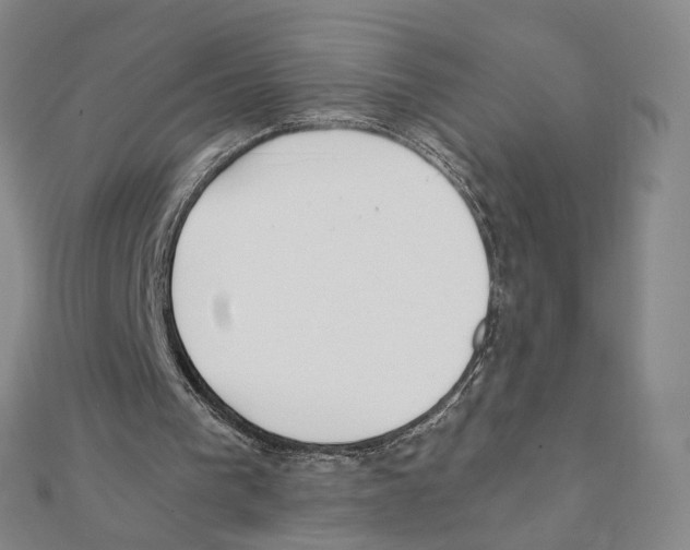 X0000111150193200907281139