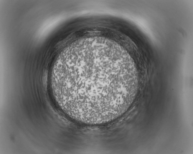 X0000111150194200907281139