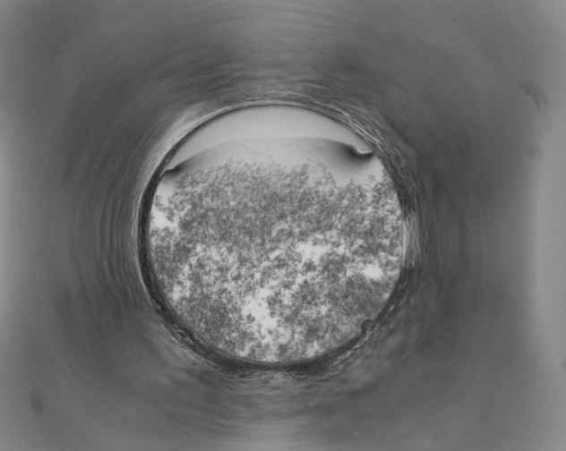 X0000111150195200907281139