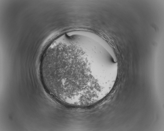 X0000111150197200907281139