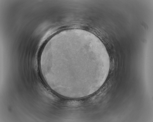 X0000111150198200907281139