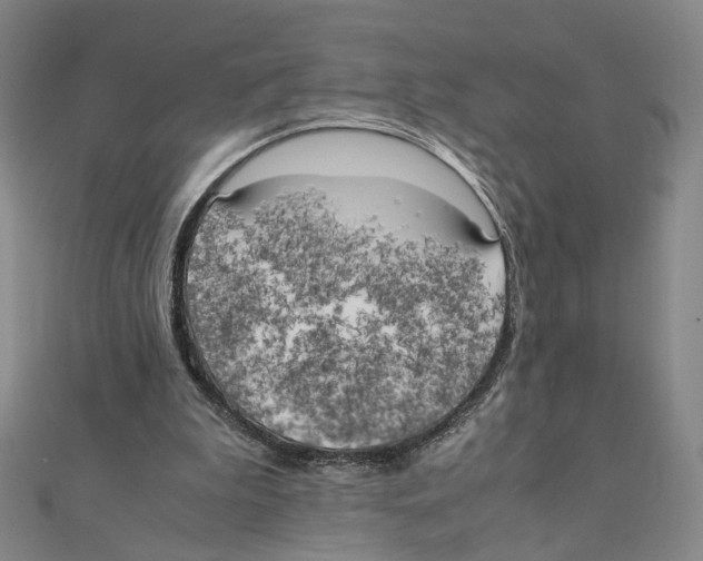 X0000111150199200907281139