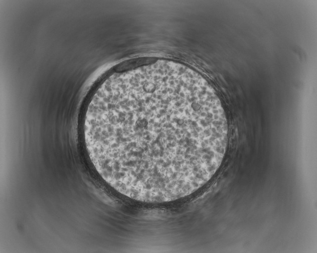 X0000111150200200907281139