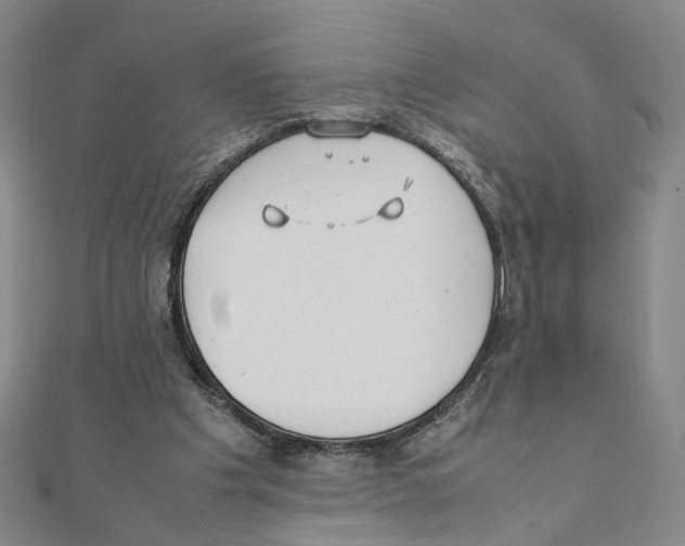 X0000111150201200907281139