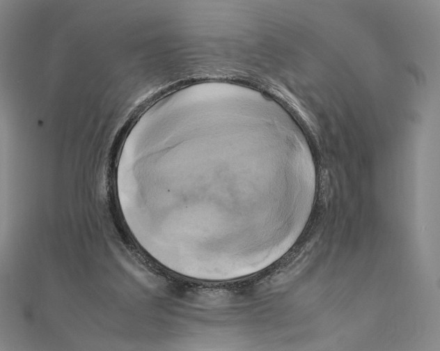 X0000111150203200907281139