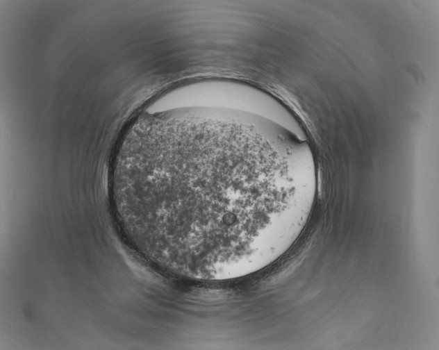 X0000111150205200907281139