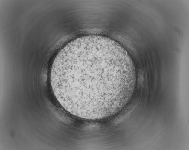 X0000111150206200907281139