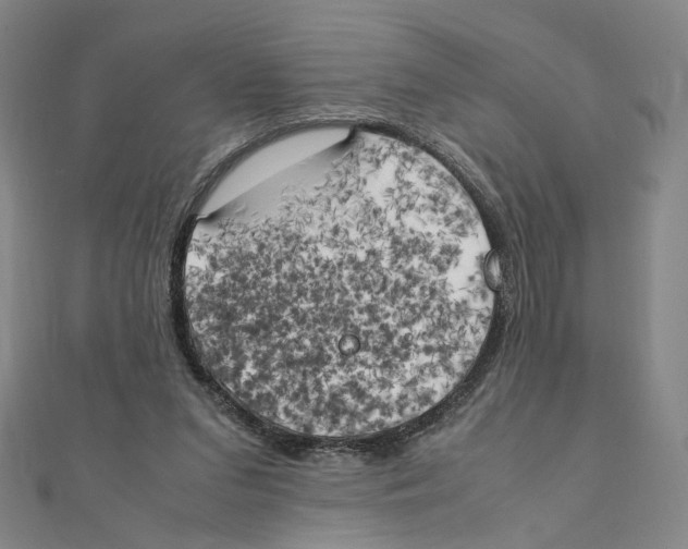 X0000111150207200907281139