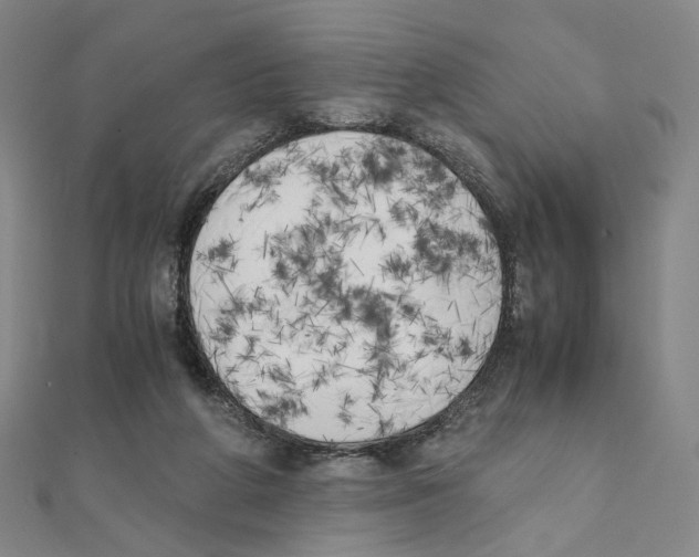 X0000111150210200907281139