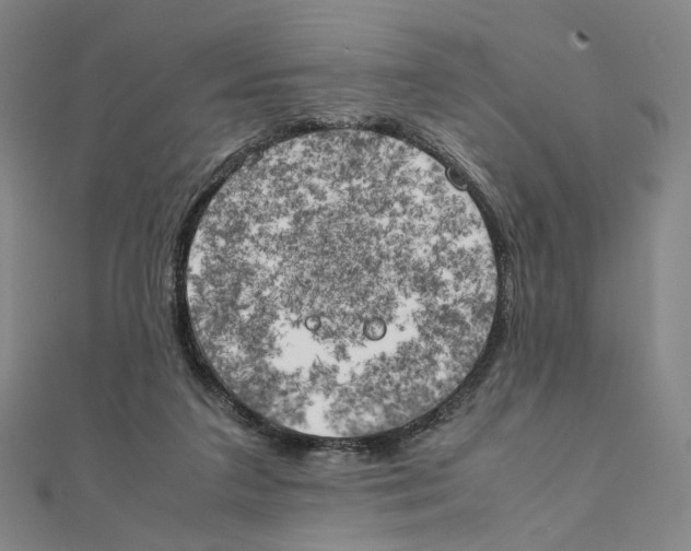 X0000111150211200907281139