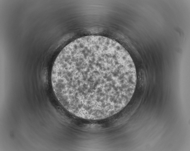 X0000111150212200907281139