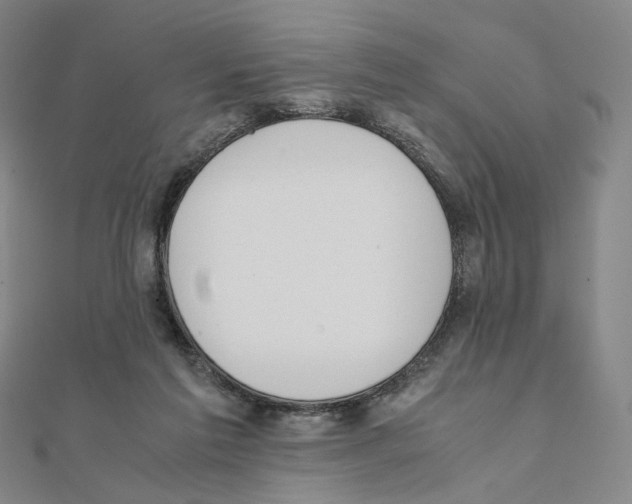 X0000111150213200907281139