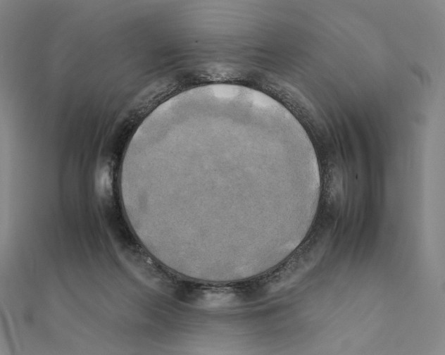 X0000111150214200907281139