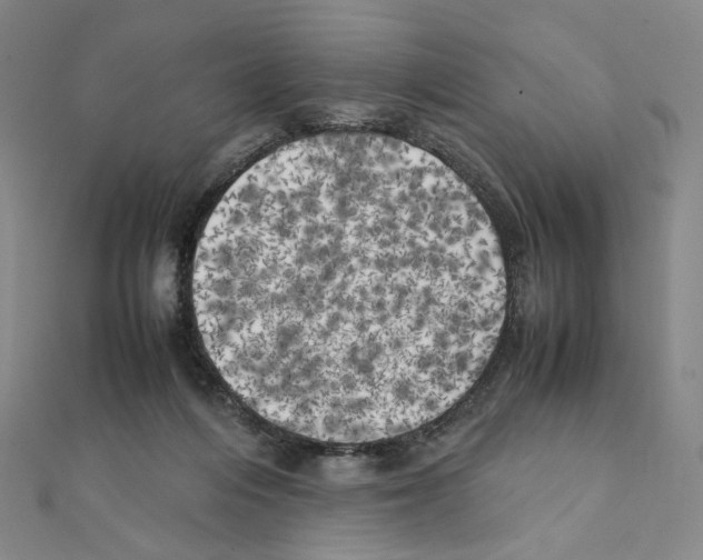 X0000111150216200907281139