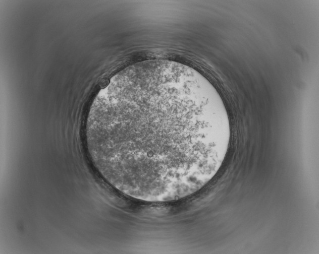 X0000111150217200907281139