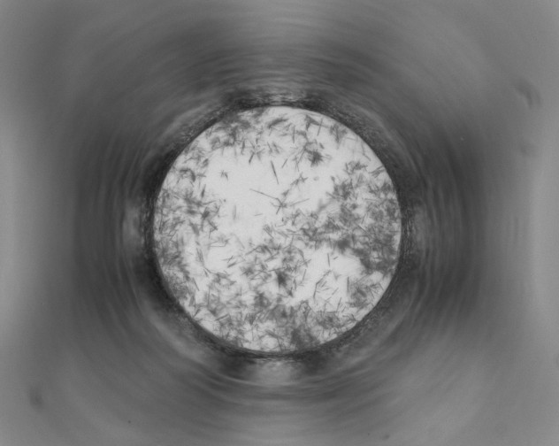 X0000111150218200907281139