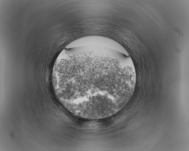 X0000111150219200907281139