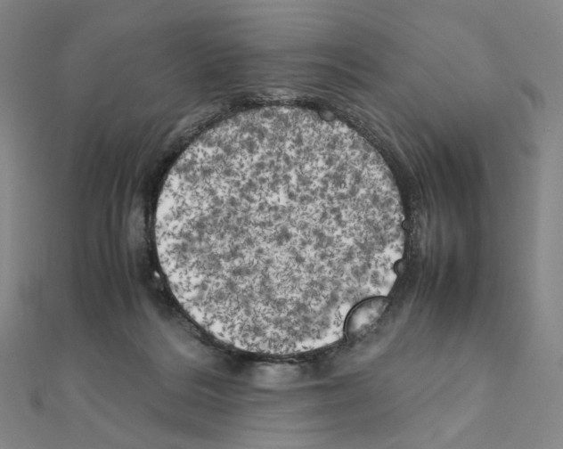 X0000111150220200907281139