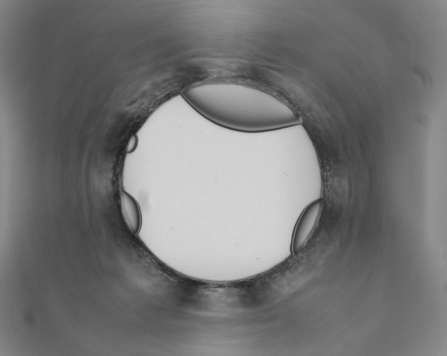 X0000111150221200907281139