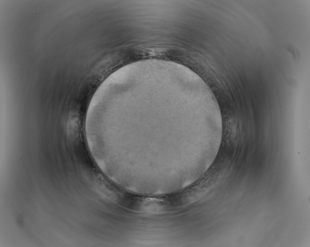 X0000111150222200907281139