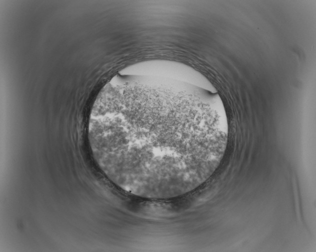 X0000111150223200907281139