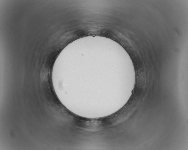 X0000111150225200907281139