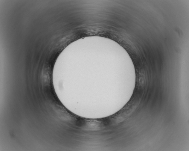 X0000111150226200907281139