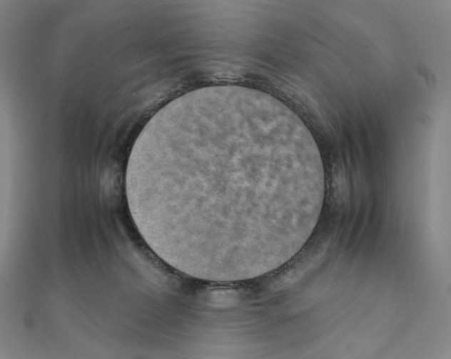 X0000111150228200907281139