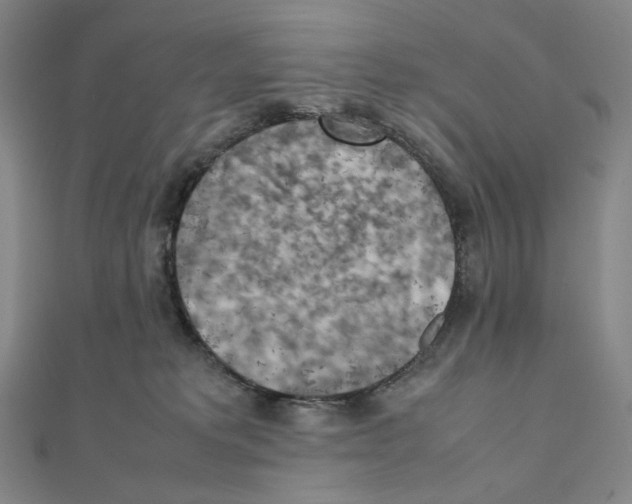 X0000111150229200907281139